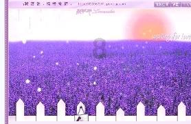 逃离魔法之森
