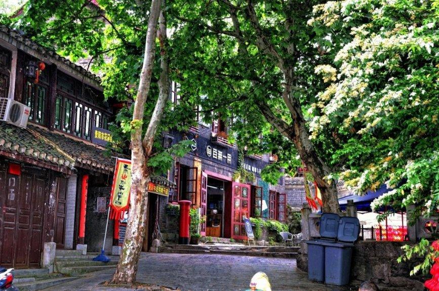 植物大战僵尸反击篇